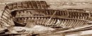 Boat Skeleton